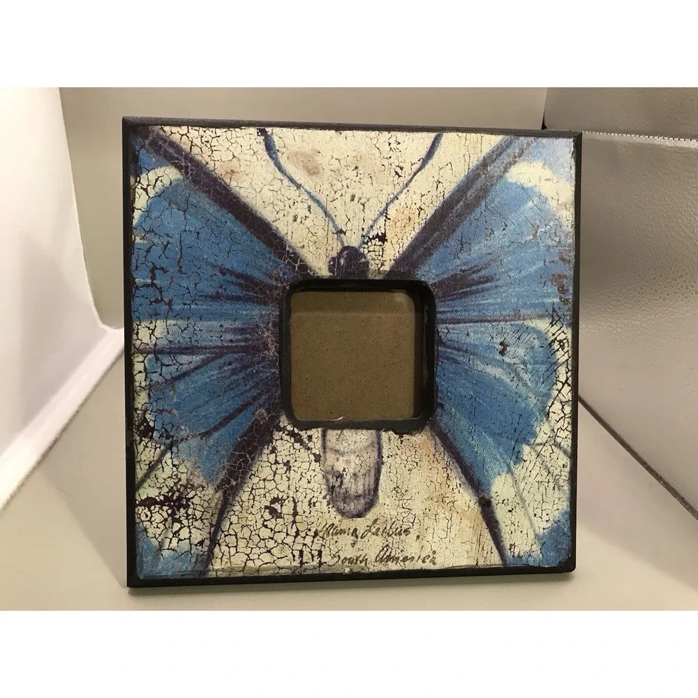 Picture Frame From South America Butterfly 2.5x2.5‎ Picture Opening 8x8 Frame